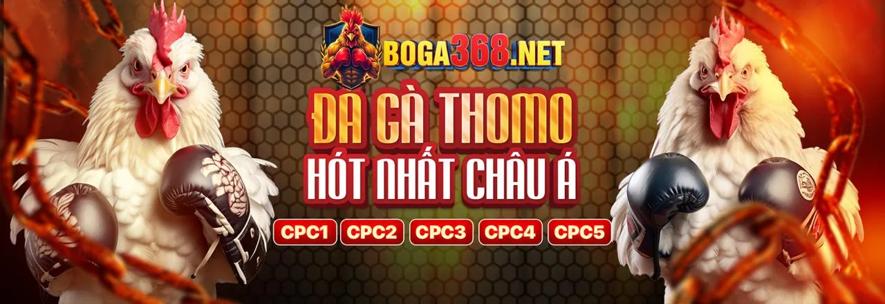 Đa dạng môn thể thao và kèo cược tại 18win casino